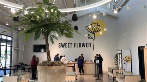 Where to buy cannabis in la! check out Chico Sunflower dispensary